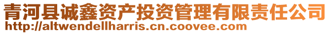 青河縣誠(chéng)鑫資產(chǎn)投資管理有限責(zé)任公司