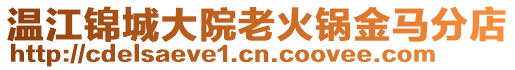 溫江錦城大院老火鍋金馬分店