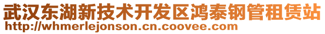 武漢東湖新技術(shù)開發(fā)區(qū)鴻泰鋼管租賃站