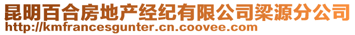 昆明百合房地產(chǎn)經(jīng)紀(jì)有限公司梁源分公司