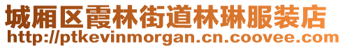 城廂區(qū)霞林街道林琳服裝店