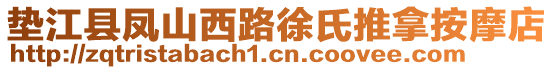 墊江縣鳳山西路徐氏推拿按摩店