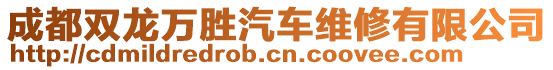 成都雙龍萬勝汽車維修有限公司