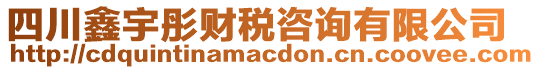 四川鑫宇彤財稅咨詢有限公司