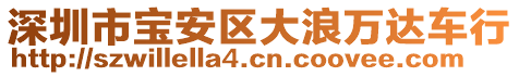 深圳市寶安區(qū)大浪萬達車行