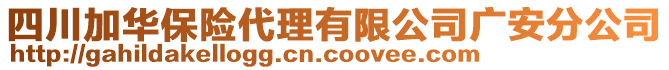 四川加華保險代理有限公司廣安分公司