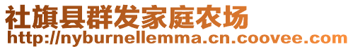 社旗县群发家庭农场