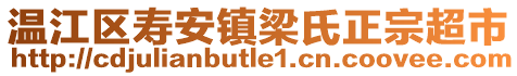 溫江區(qū)壽安鎮(zhèn)梁氏正宗超市