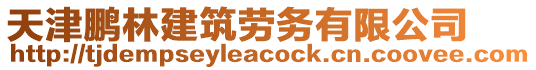 天津鵬林建筑勞務有限公司