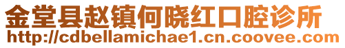 金堂縣趙鎮(zhèn)何曉紅口腔診所