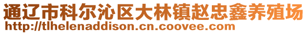 通辽市科尔沁区大林镇赵忠鑫养殖场