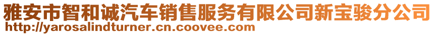 雅安市智和誠汽車銷售服務(wù)有限公司新寶駿分公司