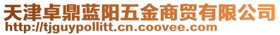 天津卓鼎藍陽五金商貿有限公司