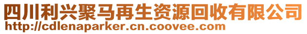 四川利興聚馬再生資源回收有限公司