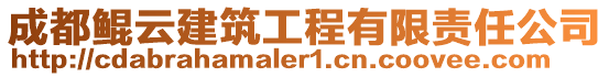 成都鯤云建筑工程有限責(zé)任公司