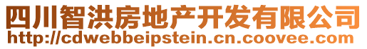 四川智洪房地產(chǎn)開(kāi)發(fā)有限公司