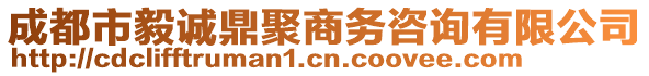 成都市毅誠鼎聚商務(wù)咨詢有限公司