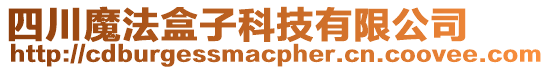 四川魔法盒子科技有限公司