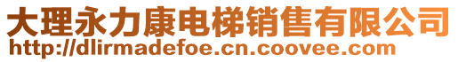 大理永力康電梯銷售有限公司