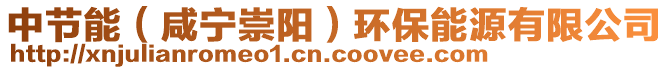 中節(jié)能（咸寧崇陽）環(huán)保能源有限公司