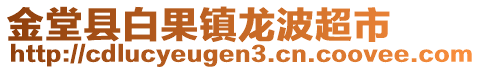 金堂縣白果鎮龍波超市