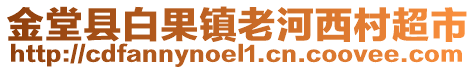 金堂縣白果鎮(zhèn)老河西村超市