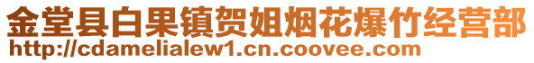 金堂縣白果鎮(zhèn)賀姐煙花爆竹經(jīng)營部