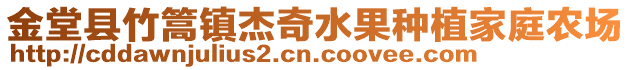 金堂县竹篙镇杰奇水果种植家庭农场