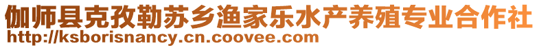 伽师县克孜勒苏乡渔家乐水产养殖专业合作社