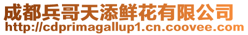 成都兵哥天添鮮花有限公司