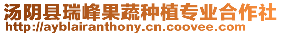 湯陰縣瑞峰果蔬種植專業(yè)合作社