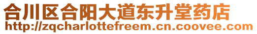 合川區(qū)合陽(yáng)大道東升堂藥店