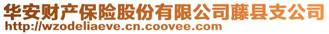 華安財(cái)產(chǎn)保險(xiǎn)股份有限公司藤縣支公司