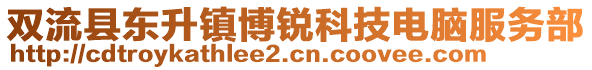 雙流縣東升鎮(zhèn)博銳科技電腦服務(wù)部