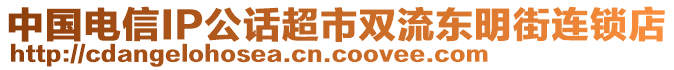 中國(guó)電信IP公話超市雙流東明街連鎖店