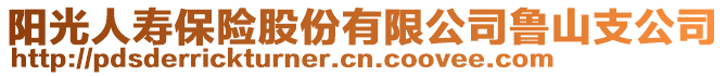 陽光人壽保險股份有限公司魯山支公司