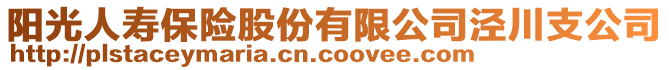 陽(yáng)光人壽保險(xiǎn)股份有限公司涇川支公司