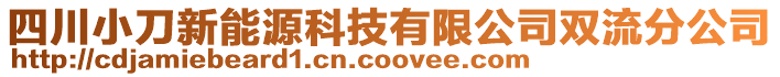 四川小刀新能源科技有限公司雙流分公司