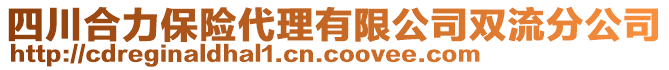 四川合力保險(xiǎn)代理有限公司雙流分公司