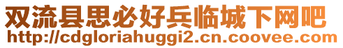 雙流縣思必好兵臨城下網(wǎng)吧