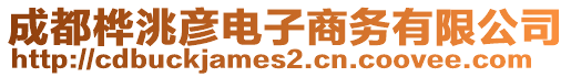 成都樺洮彥電子商務(wù)有限公司