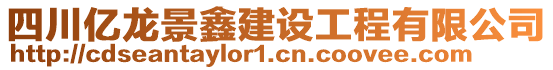 四川億龍景鑫建設(shè)工程有限公司