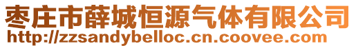 枣庄市薛城恒源气体有限公司