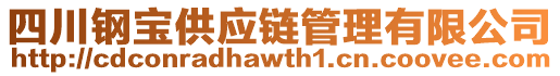 四川鋼寶供應鏈管理有限公司