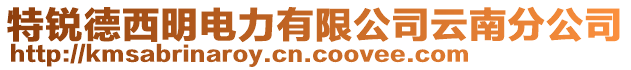 特銳德西明電力有限公司云南分公司