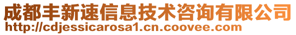 成都豐新速信息技術(shù)咨詢有限公司