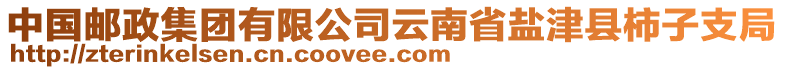 中國(guó)郵政集團(tuán)有限公司云南省鹽津縣柿子支局