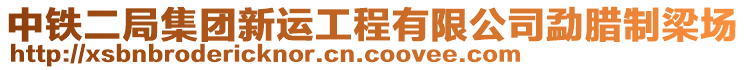 中鐵二局集團(tuán)新運(yùn)工程有限公司勐臘制梁場