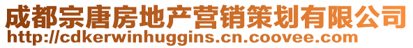 成都宗唐房地產(chǎn)營(yíng)銷(xiāo)策劃有限公司