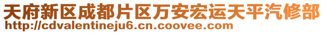 天府新區(qū)成都片區(qū)萬安宏運(yùn)天平汽修部